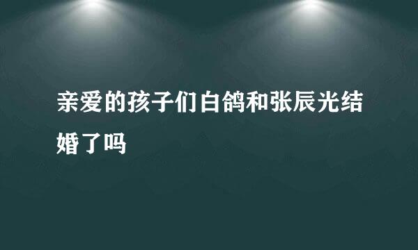 亲爱的孩子们白鸽和张辰光结婚了吗