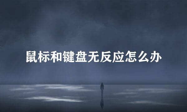 鼠标和键盘无反应怎么办