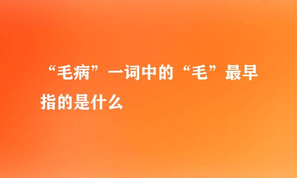 “毛病”一词中的“毛”最早指的是什么