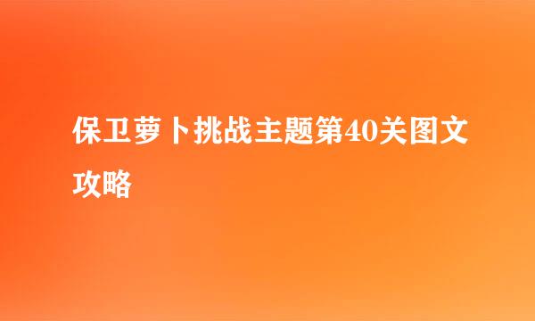 保卫萝卜挑战主题第40关图文攻略