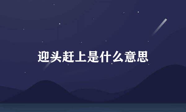 迎头赶上是什么意思