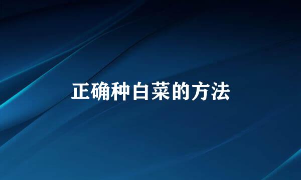 正确种白菜的方法