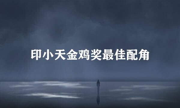 印小天金鸡奖最佳配角
