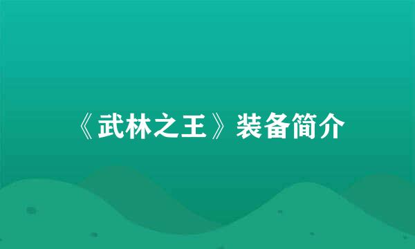 《武林之王》装备简介