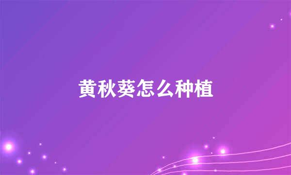 黄秋葵怎么种植