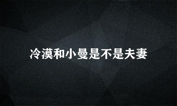 冷漠和小曼是不是夫妻