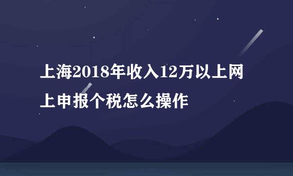 上海2018年收入12万以上网上申报个税怎么操作