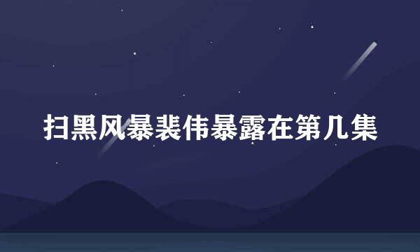 扫黑风暴裴伟暴露在第几集