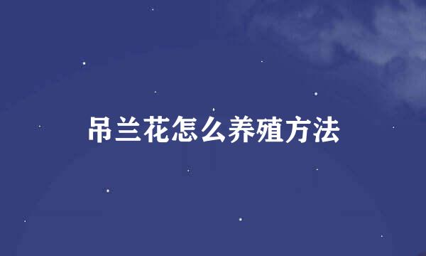 吊兰花怎么养殖方法