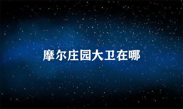 摩尔庄园大卫在哪