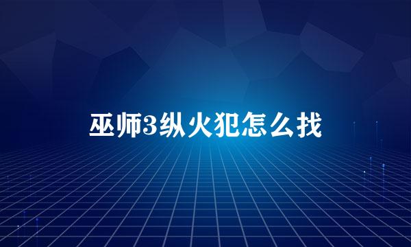 巫师3纵火犯怎么找