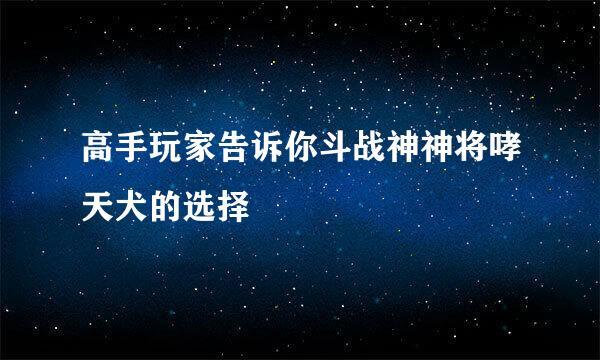 高手玩家告诉你斗战神神将哮天犬的选择