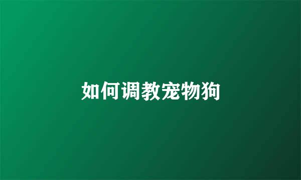 如何调教宠物狗