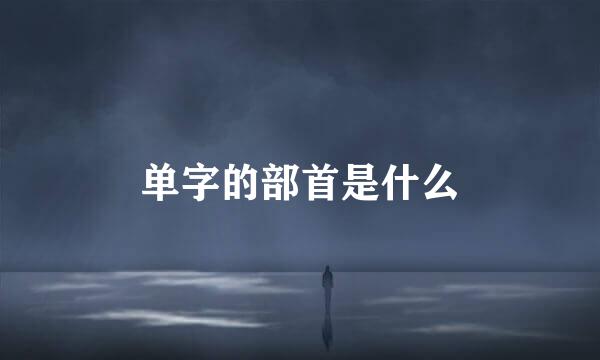 单字的部首是什么