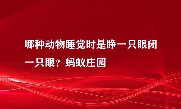 哪种动物睡觉时是睁一只眼闭一只眼？蚂蚁庄园