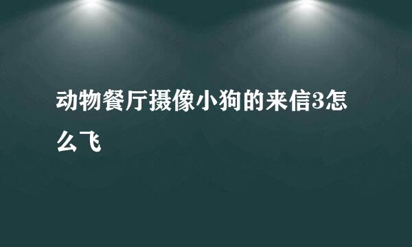 动物餐厅摄像小狗的来信3怎么飞