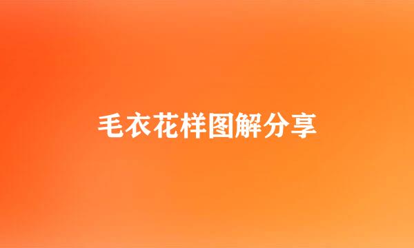 毛衣花样图解分享