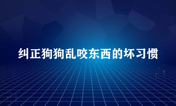 纠正狗狗乱咬东西的坏习惯