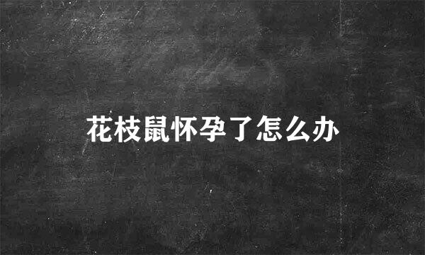 花枝鼠怀孕了怎么办