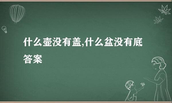 什么壶没有盖,什么盆没有底答案