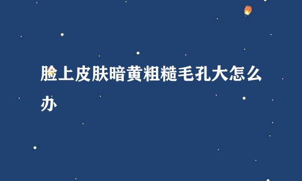 脸上皮肤暗黄粗糙毛孔大怎么办