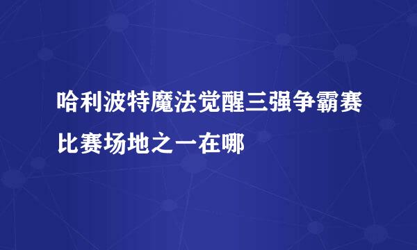 哈利波特魔法觉醒三强争霸赛比赛场地之一在哪