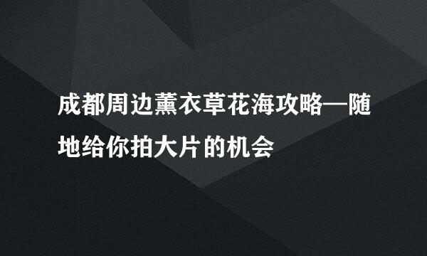 成都周边薰衣草花海攻略—随地给你拍大片的机会