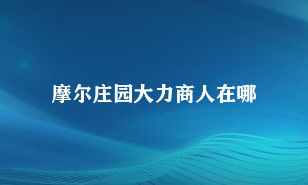摩尔庄园大力商人在哪