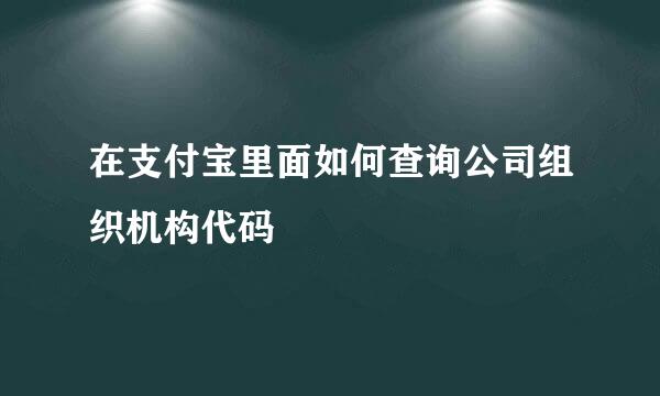 在支付宝里面如何查询公司组织机构代码
