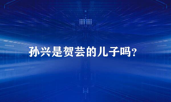 孙兴是贺芸的儿子吗？