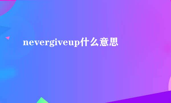 nevergiveup什么意思