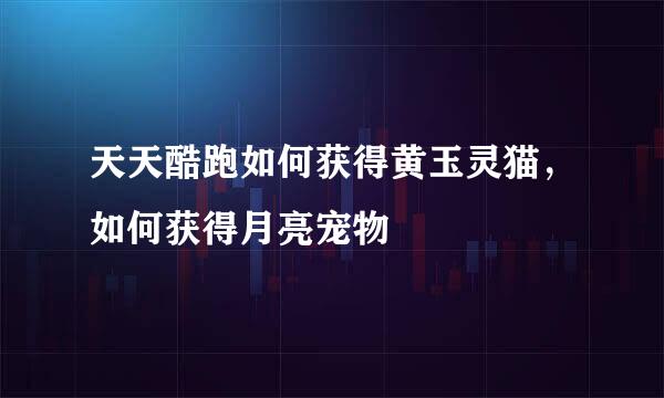 天天酷跑如何获得黄玉灵猫,如何获得月亮宠物