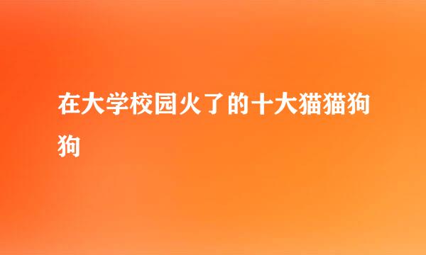 在大学校园火了的十大猫猫狗狗