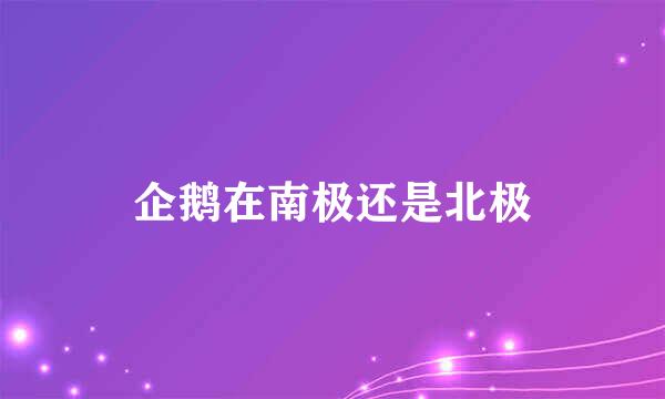 企鹅在南极还是北极