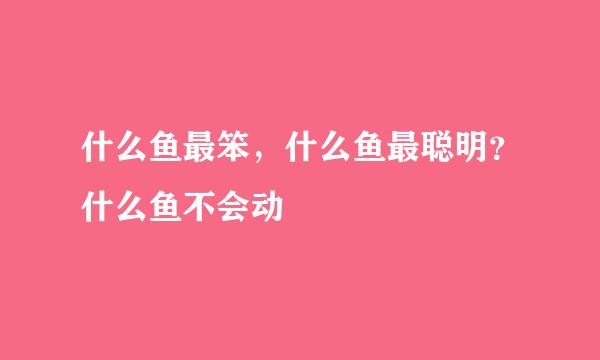 什么鱼最笨,什么鱼最聪明?什么鱼不会动