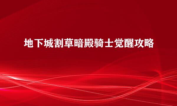 地下城割草暗殿骑士觉醒攻略