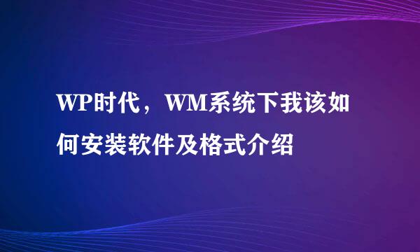 WP时代,WM系统下我该如何安装软件及格式介绍