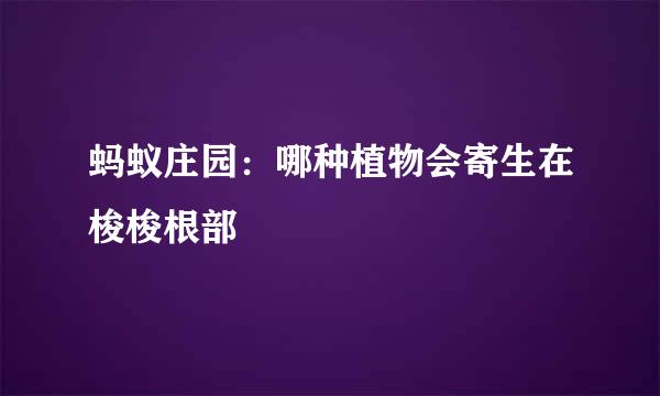 蚂蚁庄园：哪种植物会寄生在梭梭根部