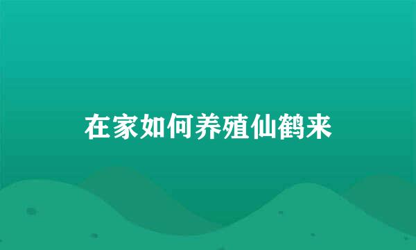 在家如何养殖仙鹤来
