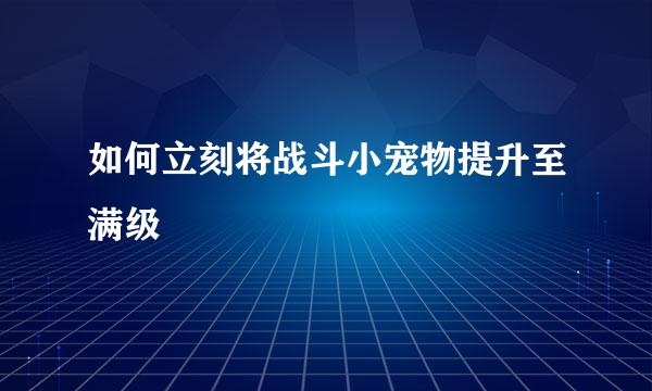 如何立刻将战斗小宠物提升至满级