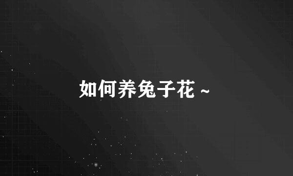 如何养兔子花~
