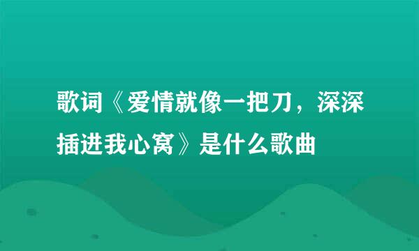 歌词《爱情就像一把刀,深深插进我心窝》是什么歌曲
