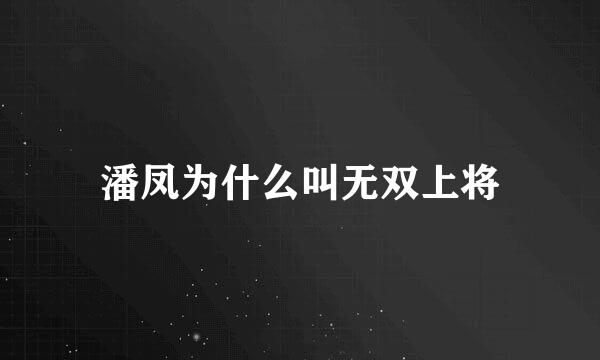潘凤为什么叫无双上将