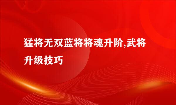猛将无双蓝将将魂升阶,武将升级技巧