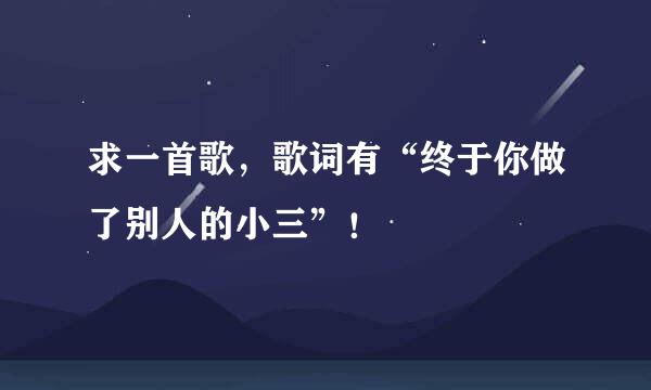 求一首歌,歌词有“终于你做了别人的小三”!
