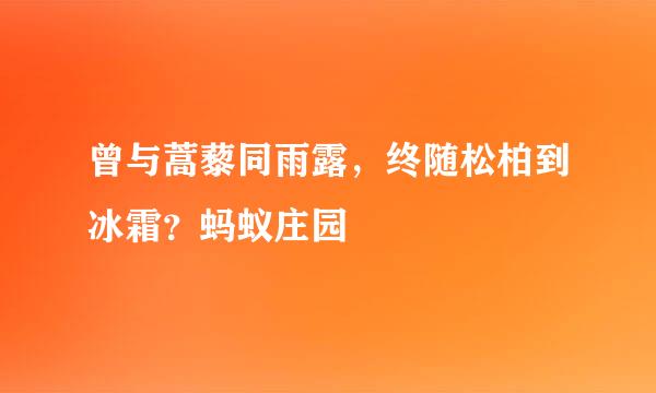 曾与蒿藜同雨露,终随松柏到冰霜?蚂蚁庄园