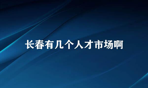 长春有几个人才市场啊