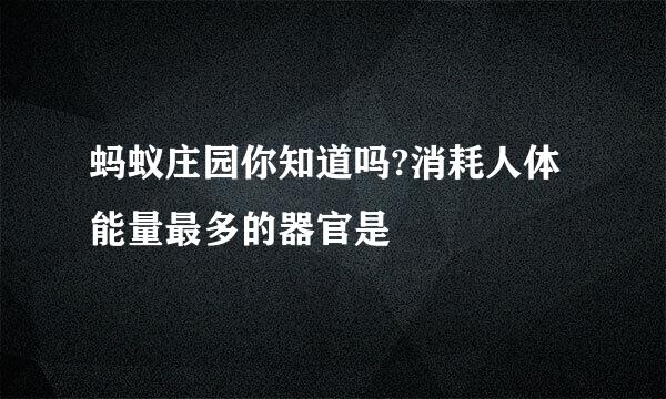 蚂蚁庄园你知道吗?消耗人体能量最多的器官是