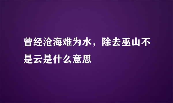 曾经沧海难为水,除去巫山不是云是什么意思