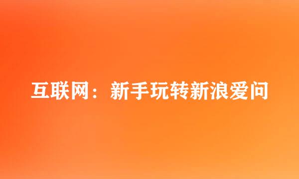 互联网:新手玩转新浪爱问